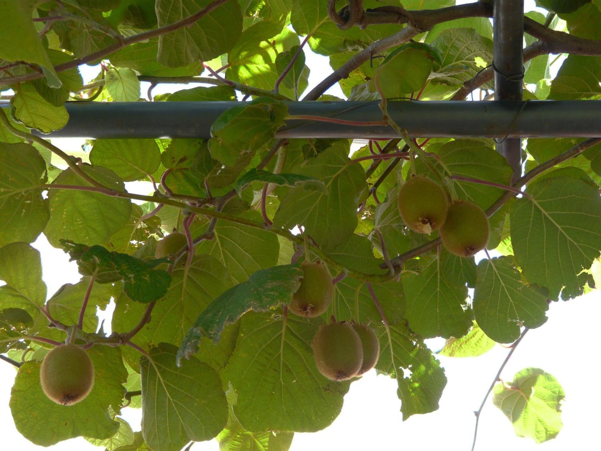 Apartamentos Rurales El Prado Pinofranqueado Εξωτερικό φωτογραφία