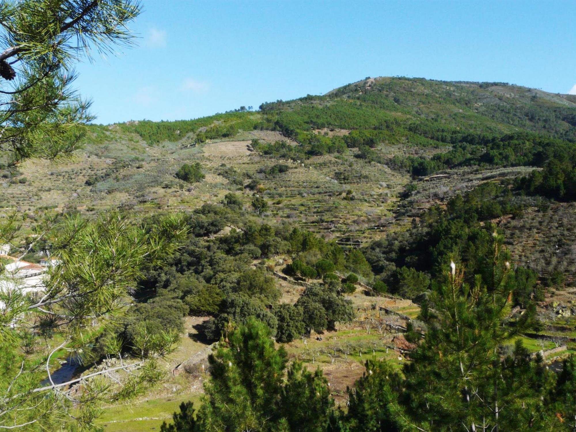 Apartamentos Rurales El Prado Pinofranqueado Εξωτερικό φωτογραφία